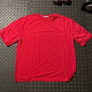 Zara Embroidered tshirt